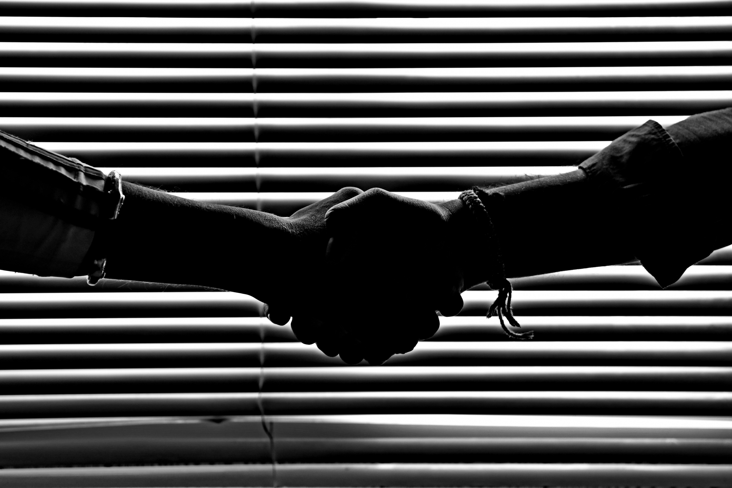 Pexels Savvas Stavrinos